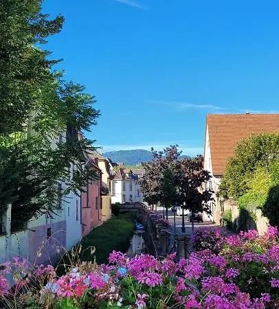 Le Cocon Du Rimbach Apartmán Soultz-Haut-Rhin