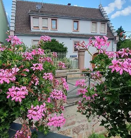 Le Cocon Du Rimbach * Soultz-Haut-Rhin