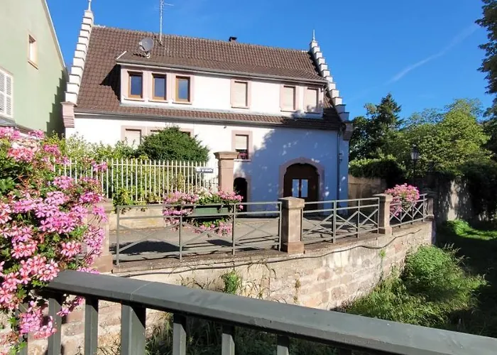 Appartement Le Cocon Du Rimbach
