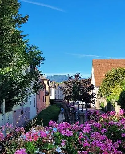 Le Cocon Du Rimbach Appartement Soultz-Haut-Rhin
