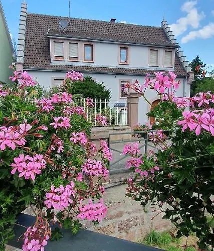 Le Cocon Du Rimbach * Soultz-Haut-Rhin